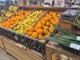 643-biocoop-cavaillon-epicurien-bio-magasin-agrume-saison.webp