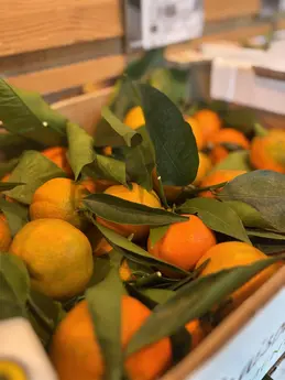 643-biocoop-cavaillon-epicurien-bio-magasin-clementine.webp