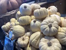 643-biocoop-cavaillon-epicurien-bio-magasin-mini-courge-blanche-saison.webp