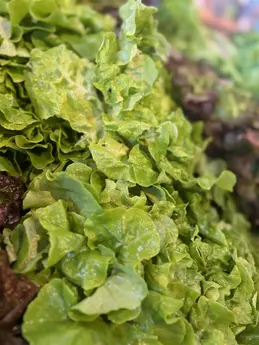 643-biocoop-cavaillon-epicurien-bio-magasin-salade.webp